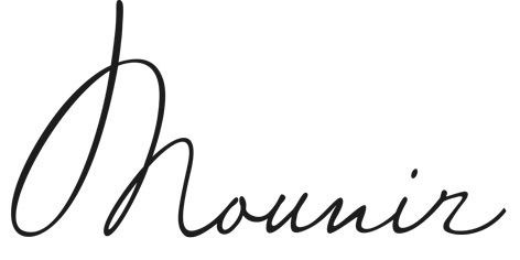 Mounir Professional Expertise